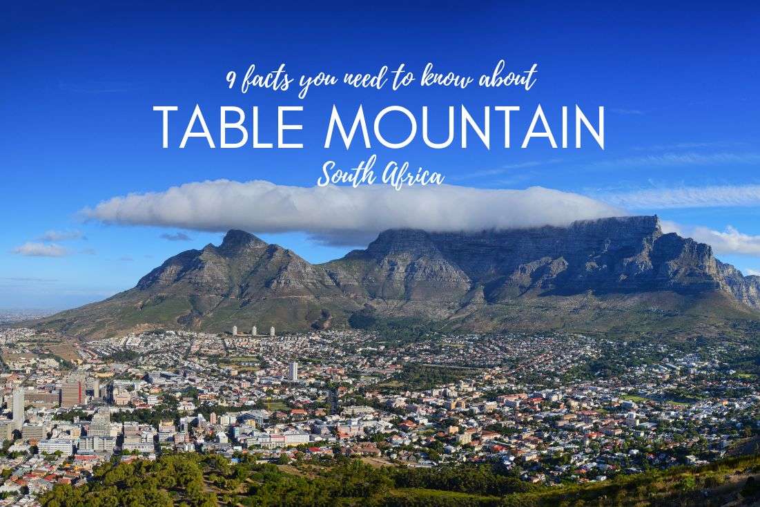 Visit Table Mountain, South Africa: 9 FAQs and Planning Tips