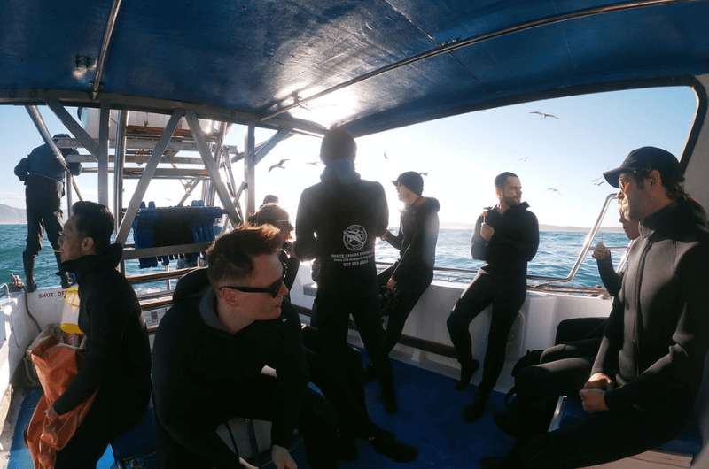 My Shark Cage Diving experience in South Africa 