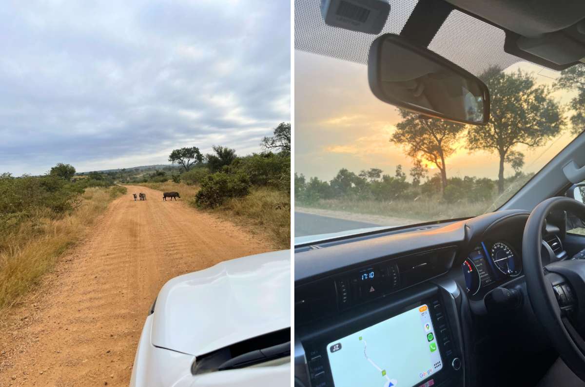 Self-drive safari in Kruger National Park, South Africa, with animals crossing a dirt road and sunset view from inside a car, photo by Next Level of Travel 