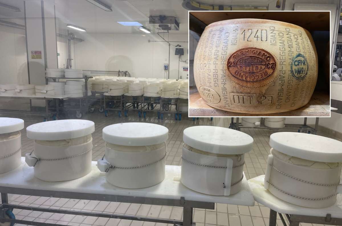 Cheese molds and a Parmigiano Reggiano wheel at a museum in Modena, Italy, photo by Next Level of Travel