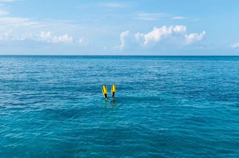 Snorkelling in Nerja, Spain