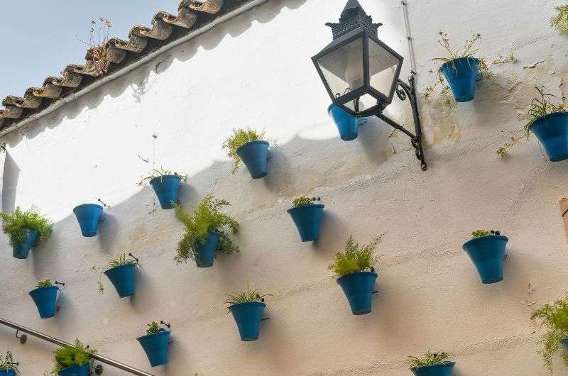 Patios in Codroba, Spain