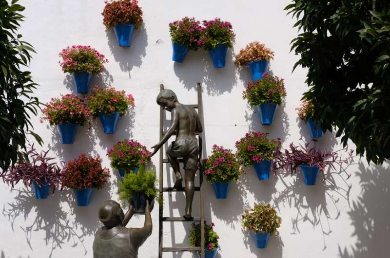 Patios in Códroba, Spain