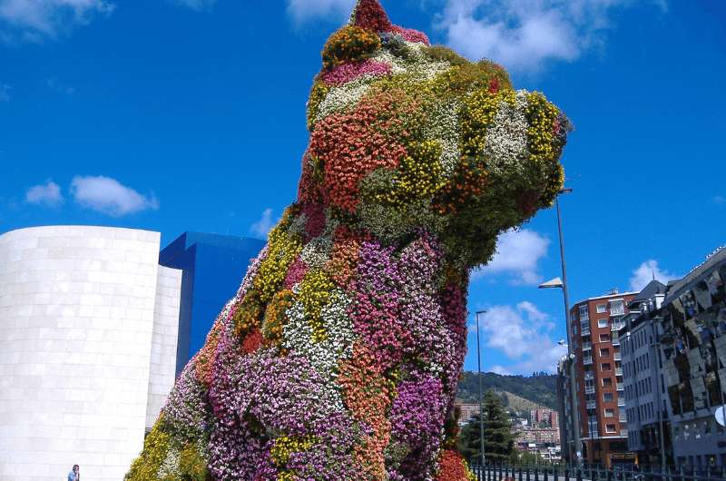 Puppy at Guggenheim Museum Bilbao