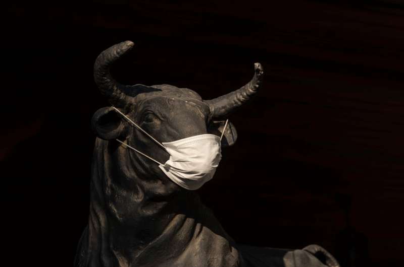 Statue of a bull covered with a respirator