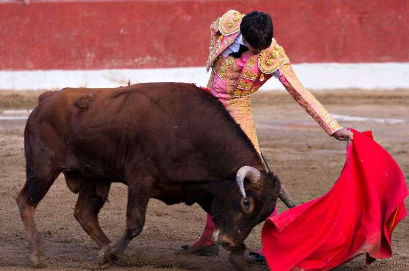 Bullfight in Andalusia