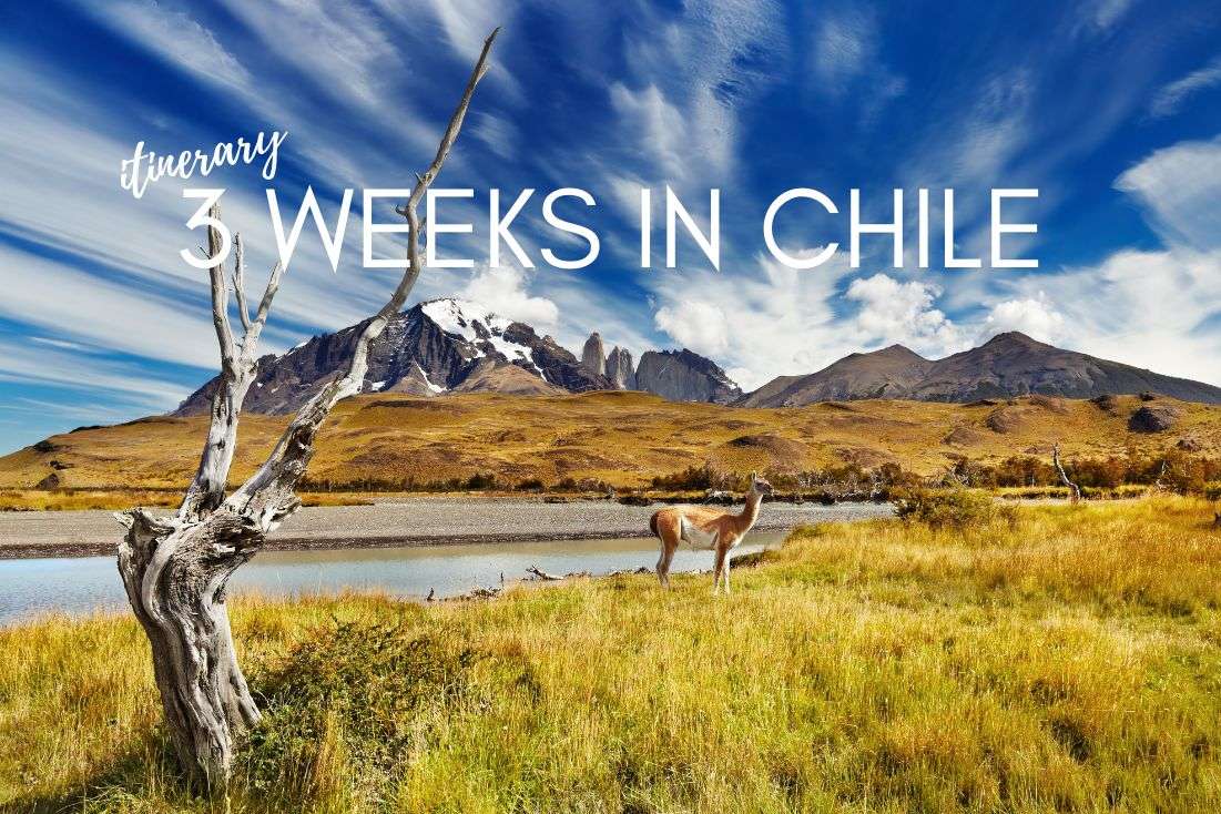 3 Weeks in Chile: The Ultimate Travel Itinerary