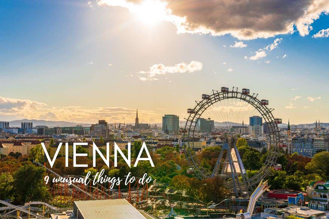Unusual Things to do in Vienna: 9 Places the Guidebooks Won’t Take You