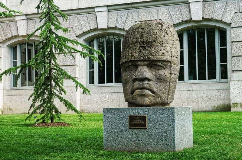 Olmec colossal heads as the remains of the ancient history of Mexico.