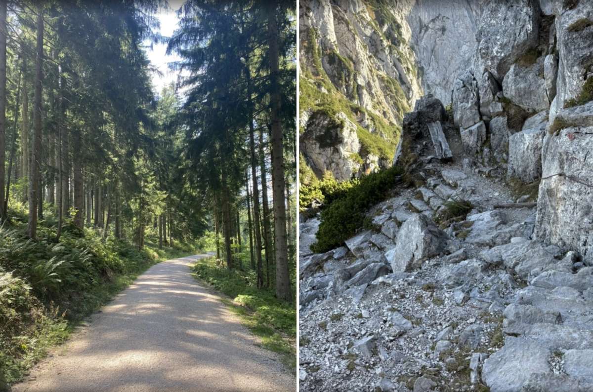 A hiking trail to the Eagle's Nest in Austria, with a forest path on the left and a rocky mountain trail with stone steps on the right
