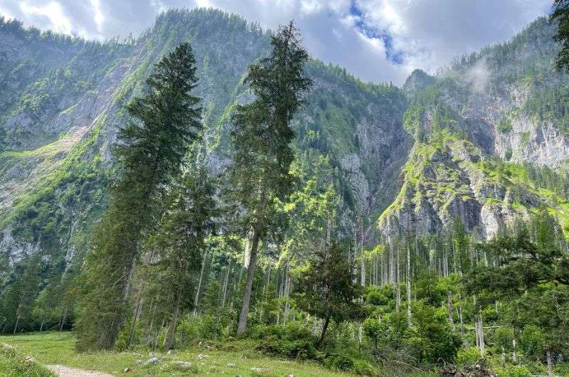 Austria forrest, Eagle's Nest