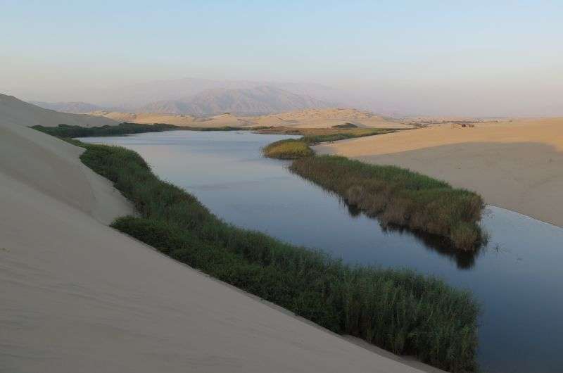 La Laguna de Morón near Paracas in Peru
