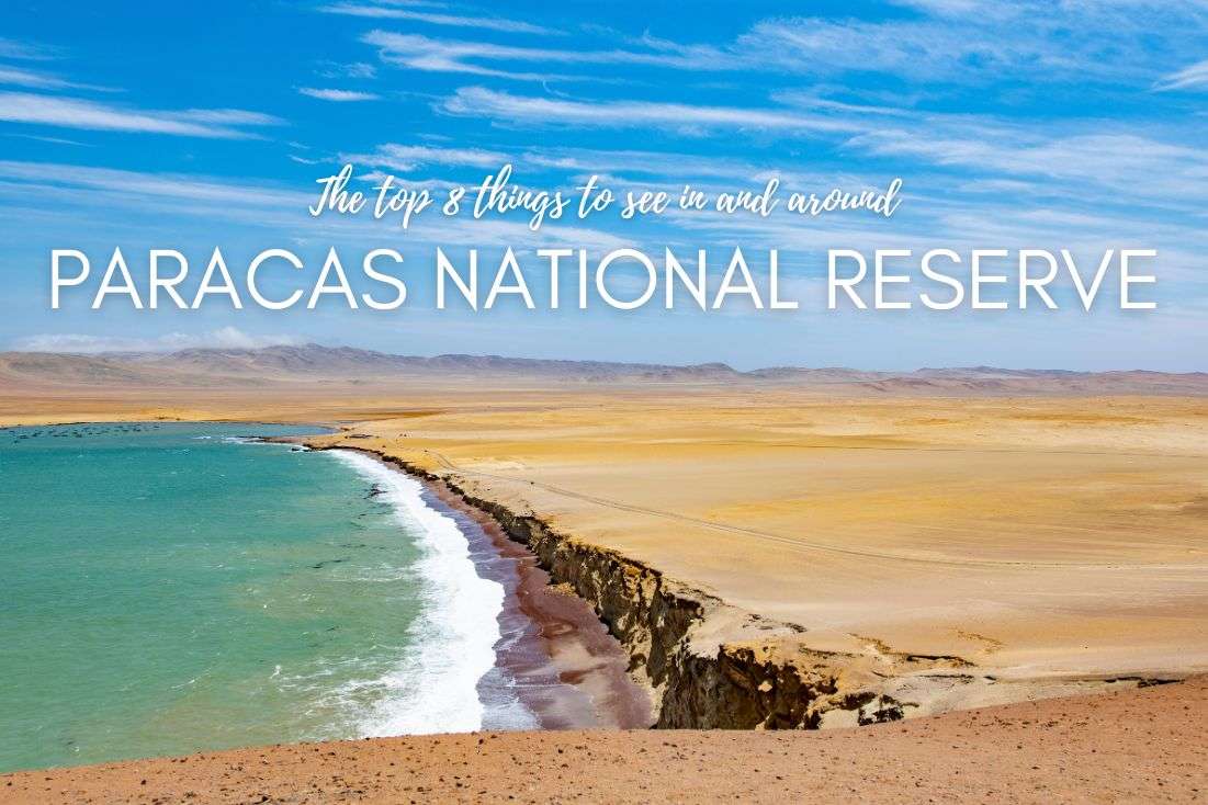 The Top 8 Things to See In and Around Paracas National Reserve