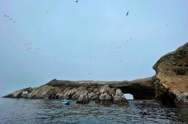 Visiting Ballestas Islands as a trip from Paracas in Peru, photo by Next Level of Travel