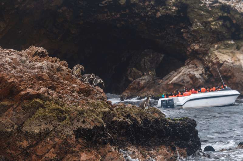 Tourist boats during a tour of the Islas Ballestas in Peru
