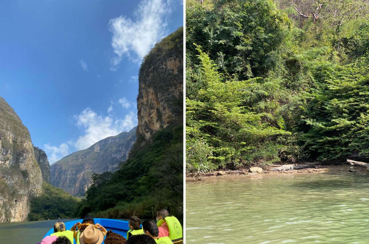 A diptych photo of tourists in a boat looking up at Sumidero Canyon's cliffs on the left and a crocodile resting on the riverbank on the right, Mexico, photo by Next Level of Travel