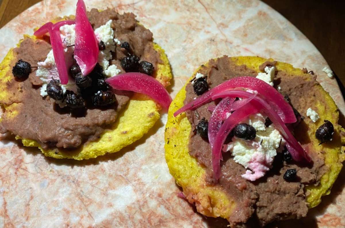 a photo of corn tostadas topped with refried beans, queso fresco, pickled red onion, and chapulines, Mexico, photo by Next Level of Travel