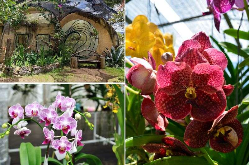 Botanical garden in San Cristóbal de las Casas, Mexico. 