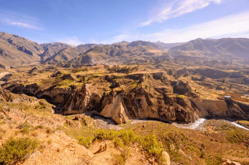 Colca Canyon, what to see in Peru 