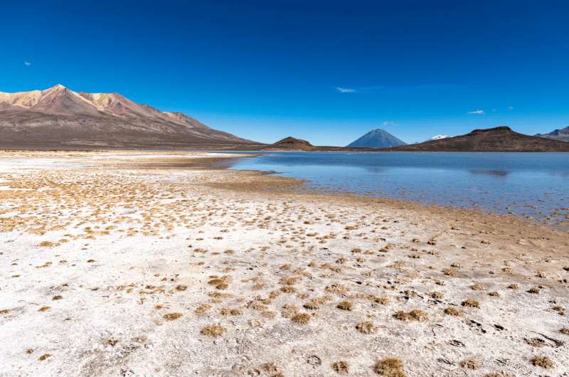 Laguna de Salinas in Arequipa, the white city, photo by Next Level of Travel