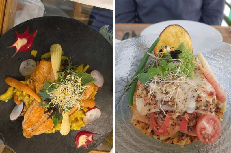 Two meals at Green House Restaurant in Machu Picchu Peru