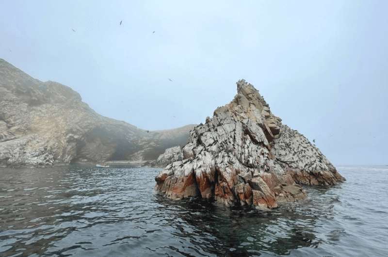 Islas Ballestas, the Ballestas Islands in Peru