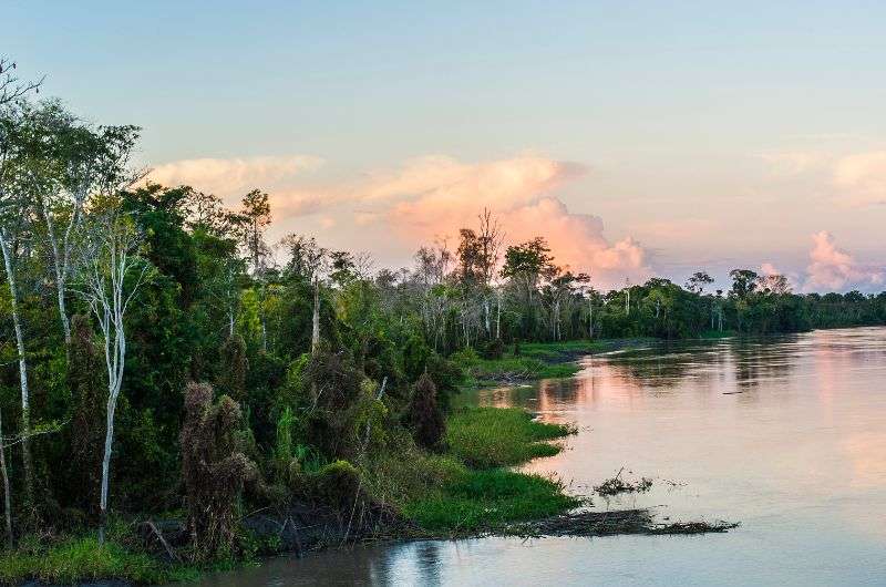 Pacaya Samiria, things to do in Peru
