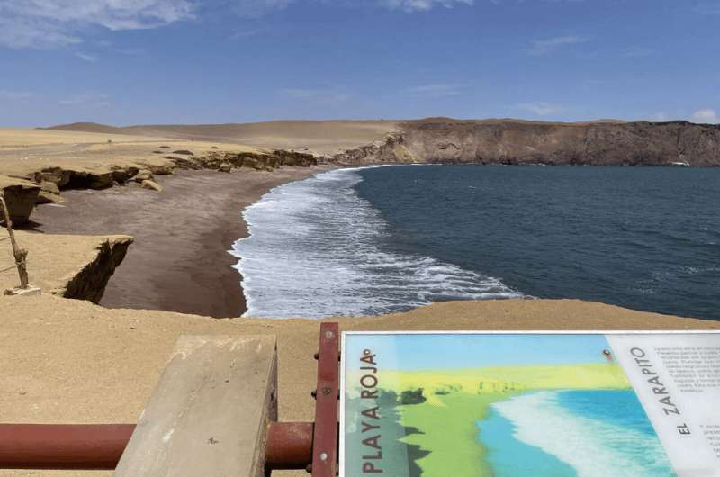 The famous red sand at Playa Roja in Paracas National Reserve in Peru 