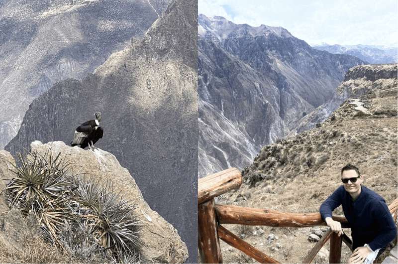 Views of Colca Canyon and condors  in Peru 