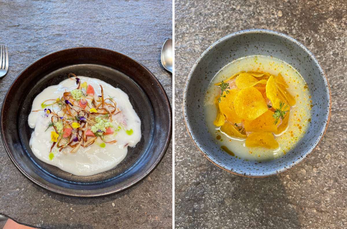 A collage of two types of Ceviche, a photo by Next Level of Travel
