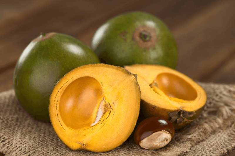 Lucuma, traditional peruvian food