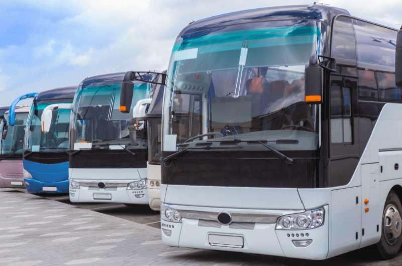 Buses at a bus station, How to get to Nazca lines by bus, Peru