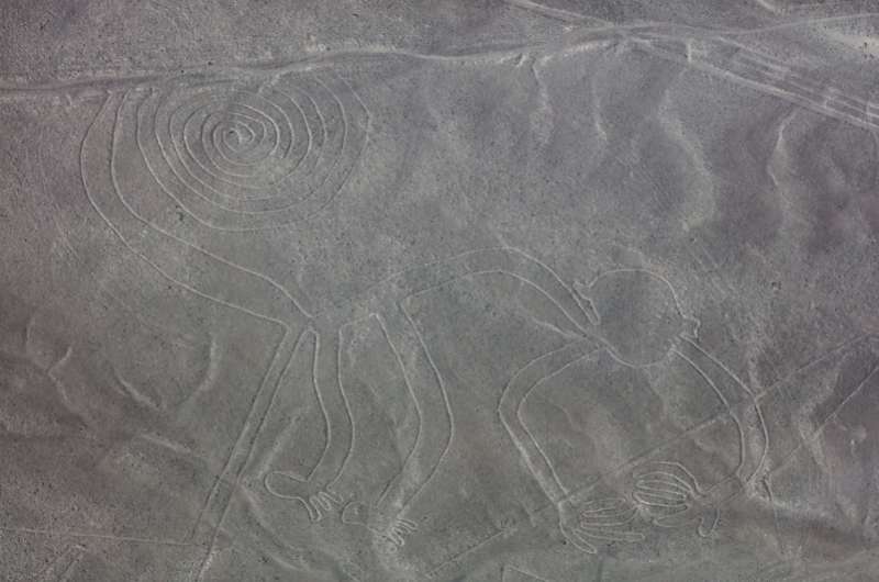 Nazca lines, the monkey 