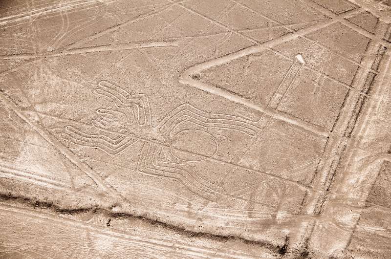 Nazca lines, the spider