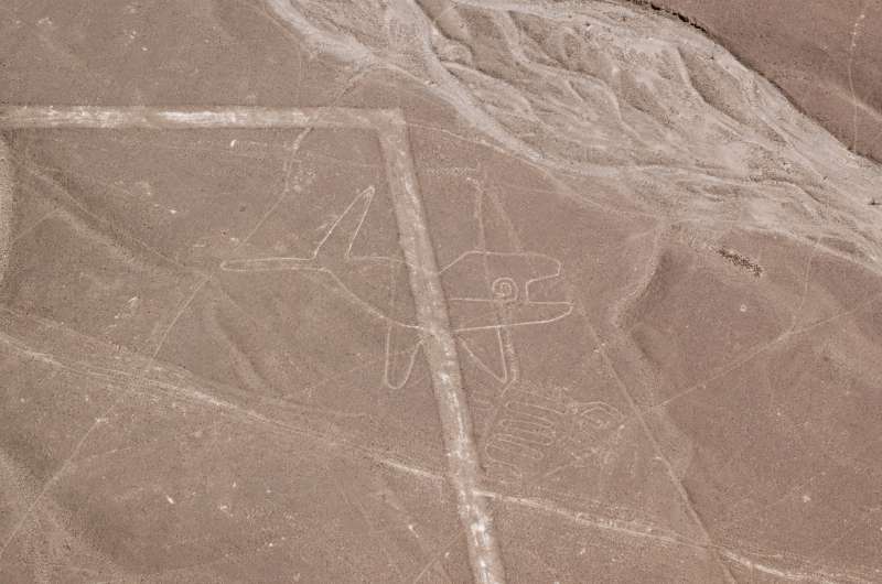 Nazca lines, the whale