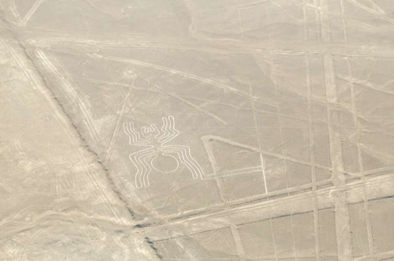 Spider Nazca Line, How to see Nazca lines, Peru
