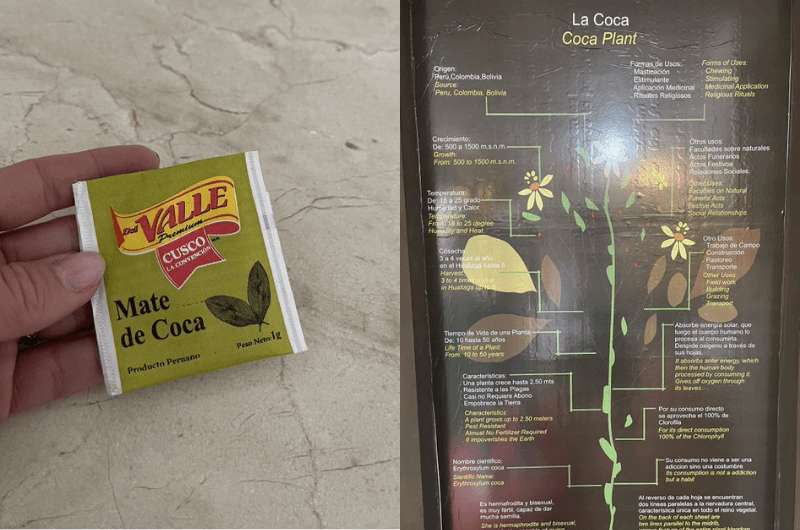 Coca-related artifacts at the coca museum in Cusco