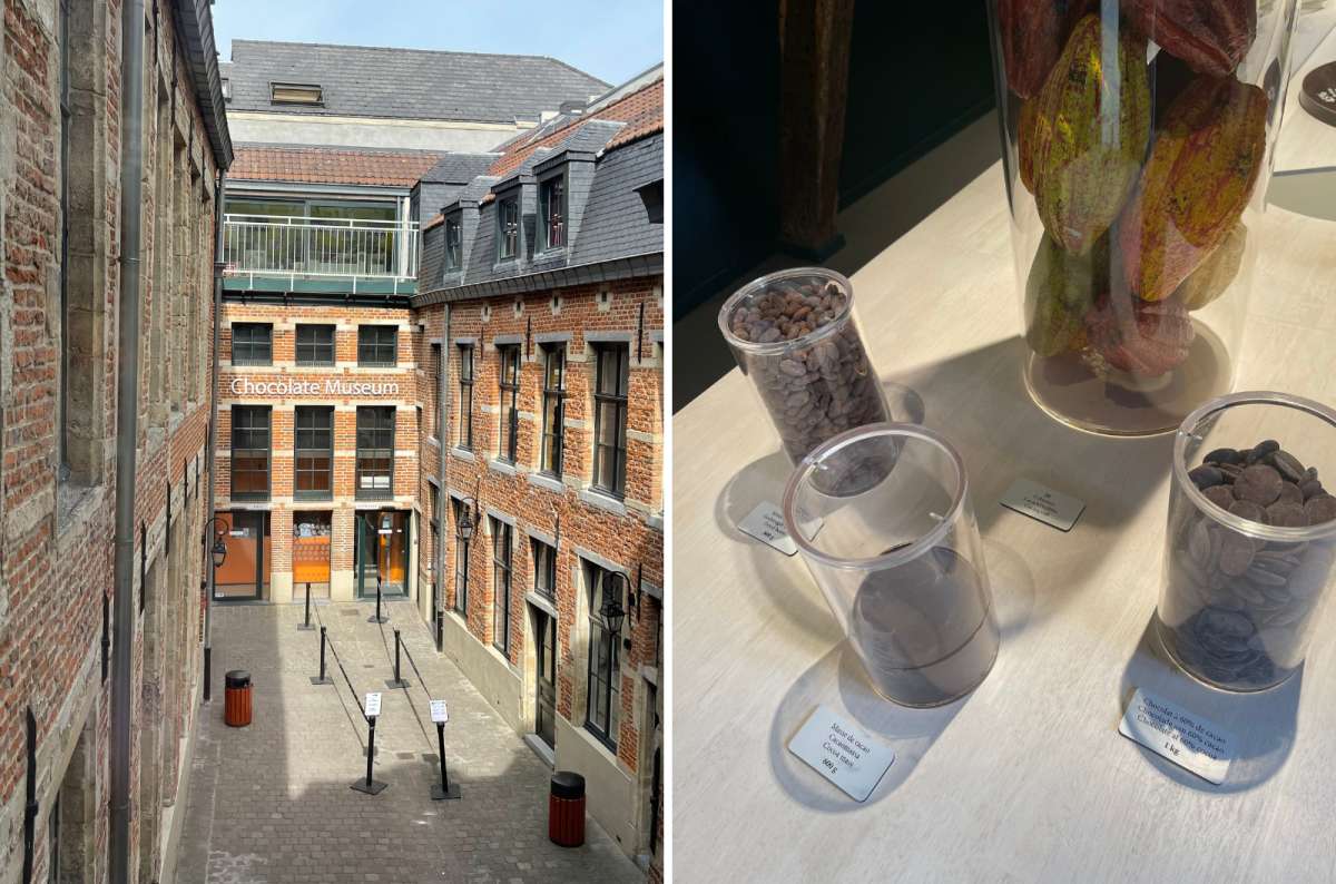 Exhibits inside Choco Story Brussels Museum showing cocoa beans and chocolate-making displays, photo by Next Level of Travel