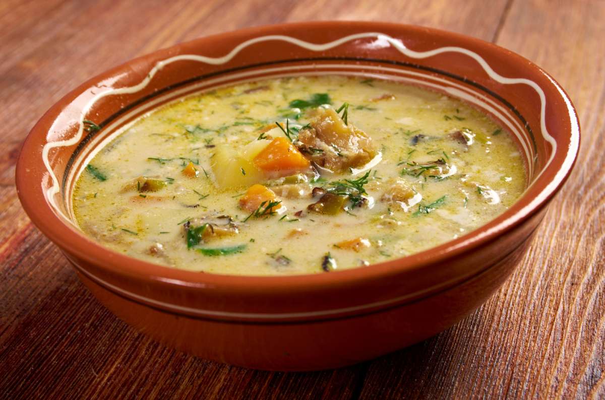 traditional Belgian waterzooi, a creamy stew with chicken, vegetables, and herbs, served in a rustic bowl