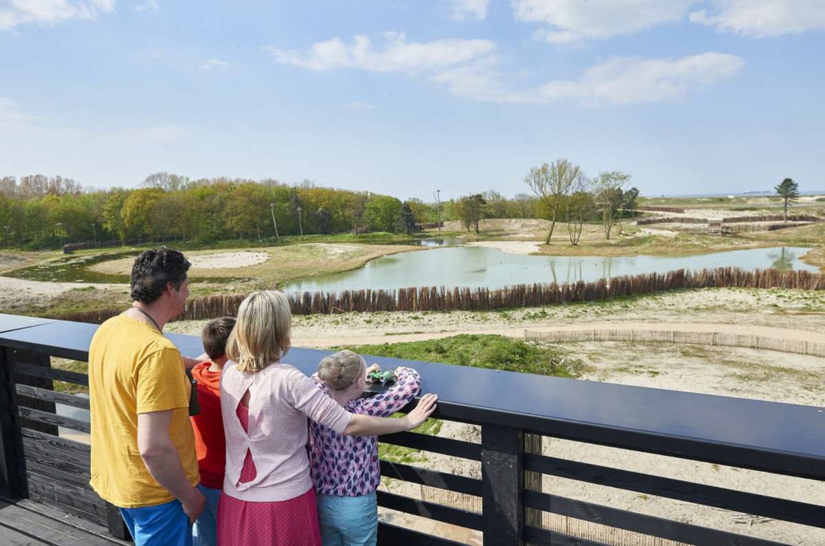 a photo of a family looking int othe distant nature at Zwin Nature Park, Belgium