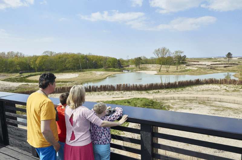 One of the viewing platforms at Zwin Nature Park near Burges in Belgium