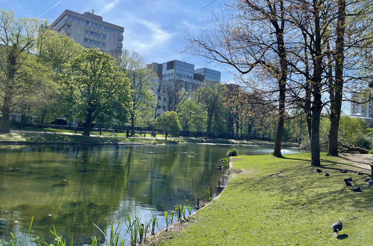 a photo from the Leopold Park with beautiful greenery and modern buildings visible in the background, Brussels, Belgium, photo by Next Level of Travel