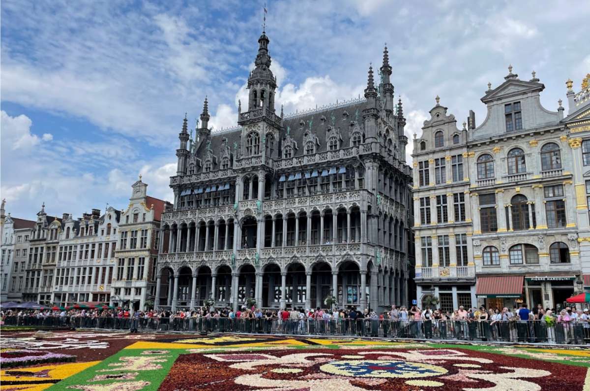 a photo of the Brussels city museum with the flower carpet visible in the foreground, Brussels, Belgium