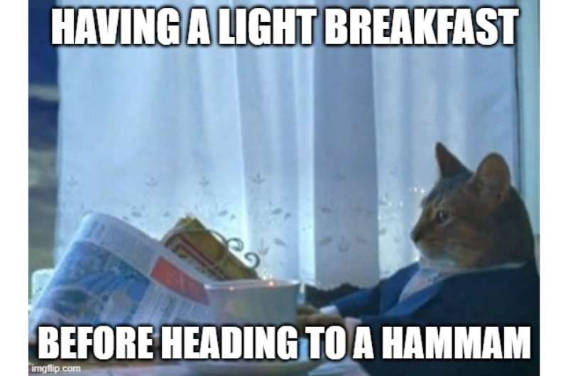 cat meme
