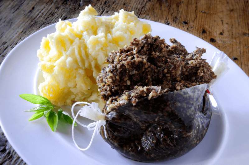Typical Scottish food: haggis prepared with mashed potatoes