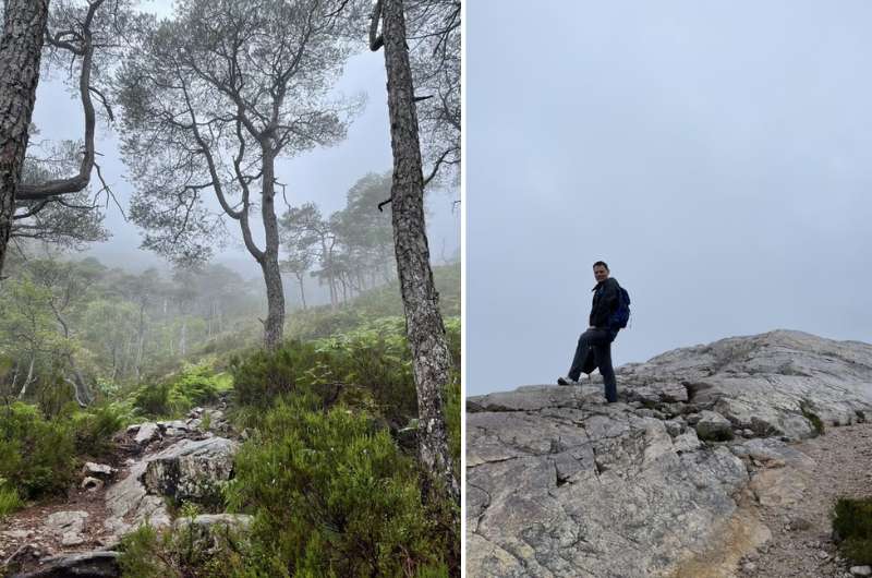 What the trail looks like at Beinn Eighe mountain hike, Scottish Highlands