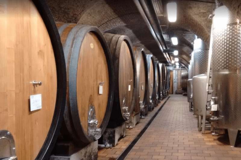 Klosterneuburg Abbey winery tour