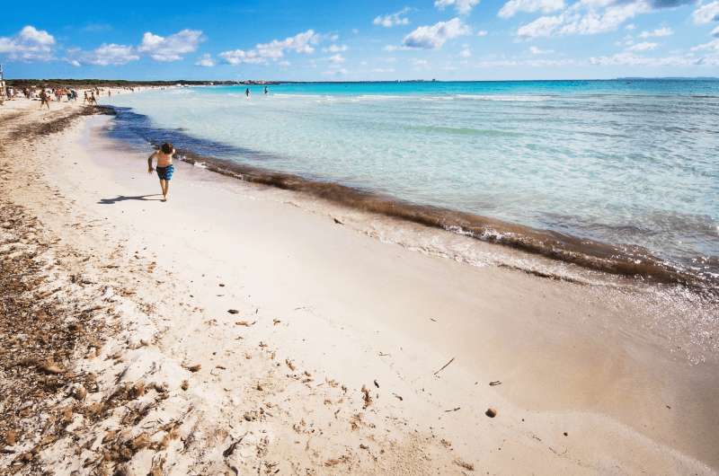  Es Trenc beach in Mallorca