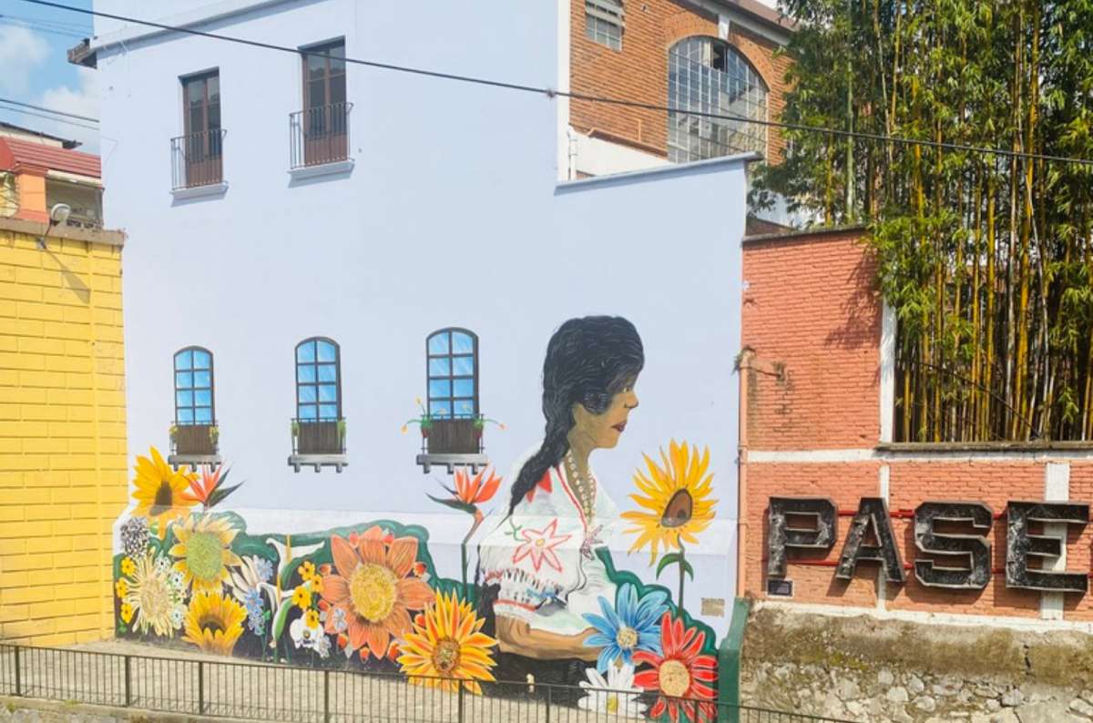 a photo of a colorful street mural of a woman with a long braid surrounded by sunflowers, Orizaba, Veracruz, Mexico, photo by Next Level of Travel