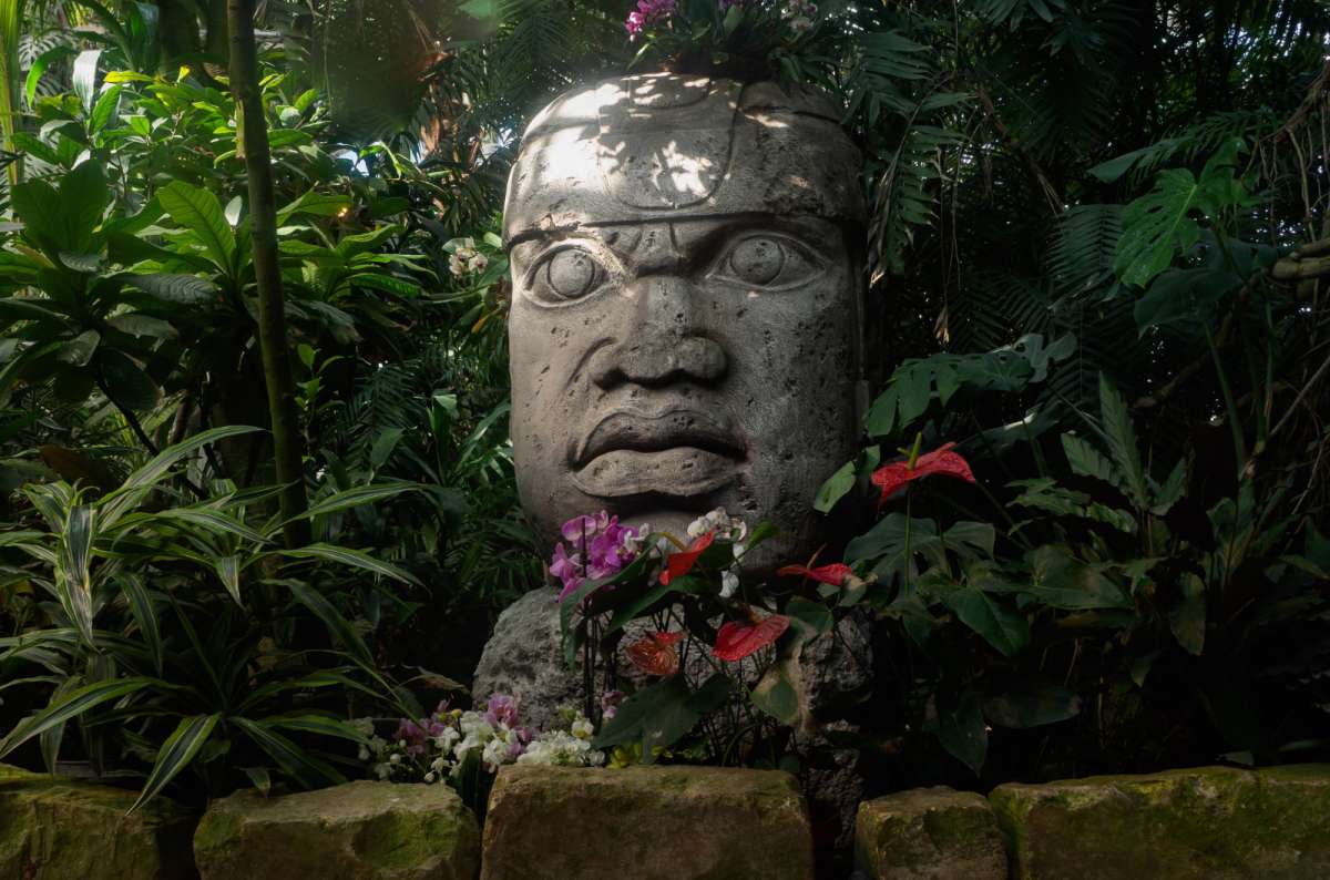 a photo of a colossal Olmec stone head surrounded by tropical plants and flowers, Veracruz, Mexico